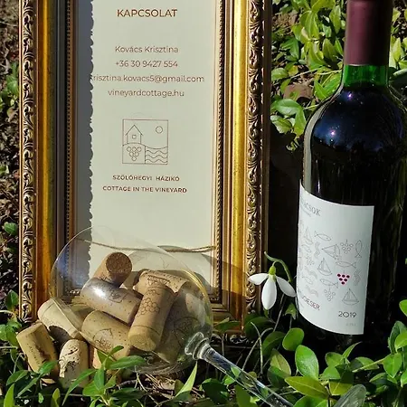 Szolohegyi Haziko - In The Vineyard Balatonszemes