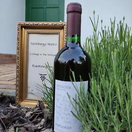 Szolohegyi Haziko - In The Vineyard Holiday home