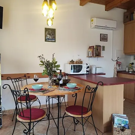 Szolohegyi Haziko - In The Vineyard *