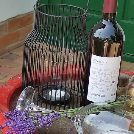 Szolohegyi Haziko - In The Vineyard