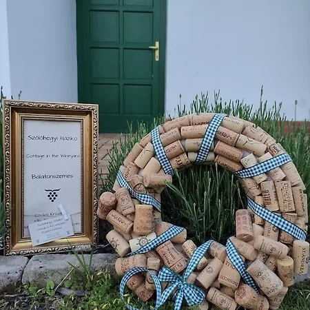 Szolohegyi Haziko - In The Vineyard Holiday home *