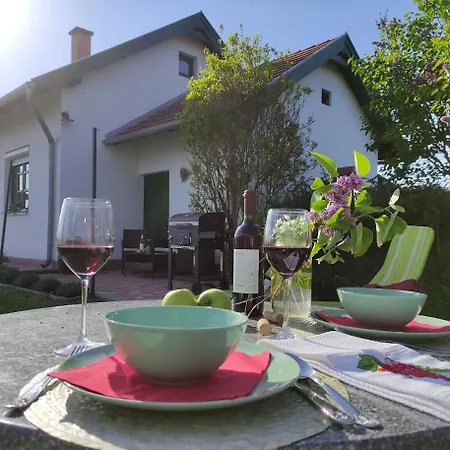 Szolohegyi Haziko - In The Vineyard *