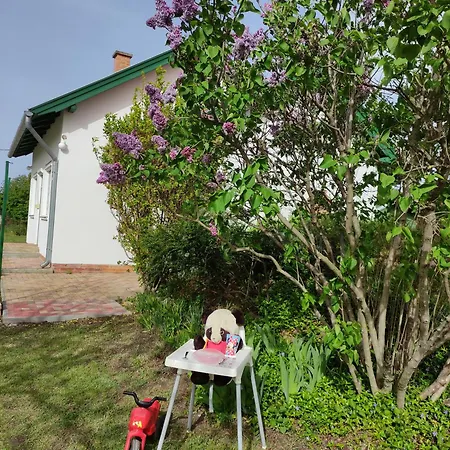 Szolohegyi Haziko - In The Vineyard * Balatonszárszó