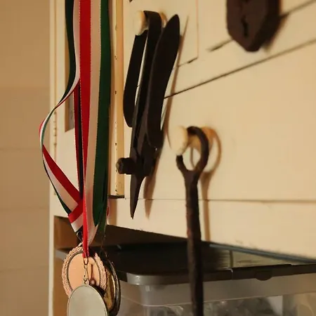 Holiday home Szolohegyi Haziko - In The Vineyard