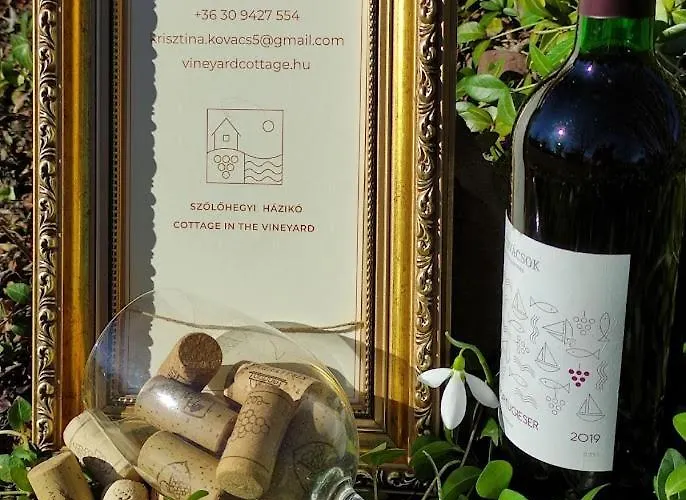 Szolohegyi Haziko - In The Vineyard Balatonszárszó