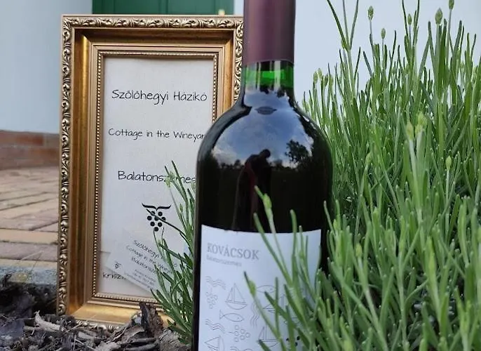 Szolohegyi Haziko - In The Vineyard בית נופש