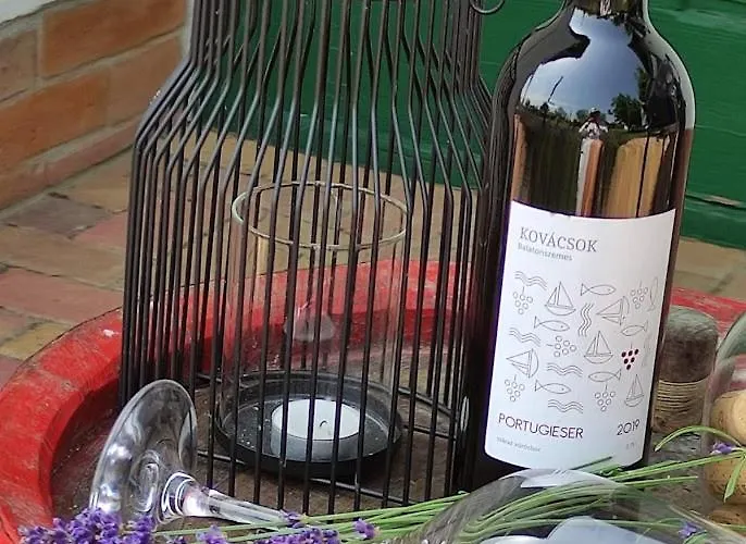 Szolohegyi Haziko - In The Vineyard