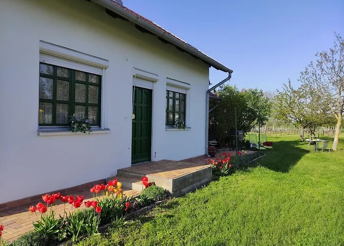 Szolohegyi Haziko - In The Vineyard בית נופש