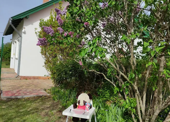 Szolohegyi Haziko - In The Vineyard * Balatonszárszó