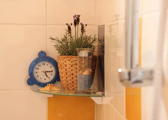 Szolohegyi Haziko - In The Vineyard