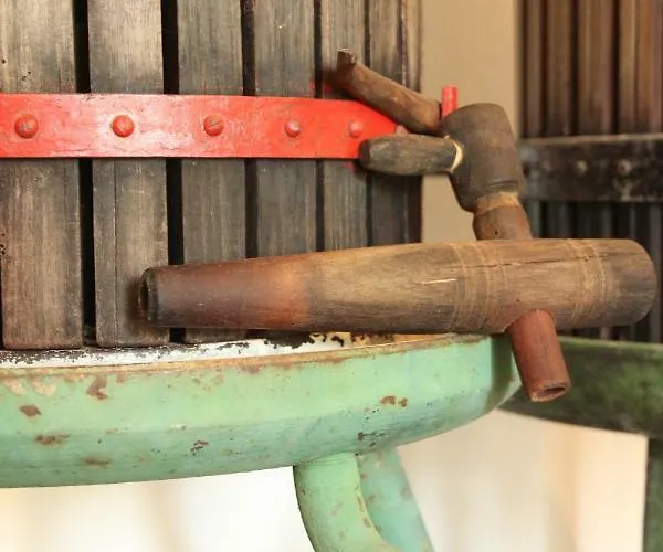 Szolohegyi Haziko - In The Vineyard בית נופש