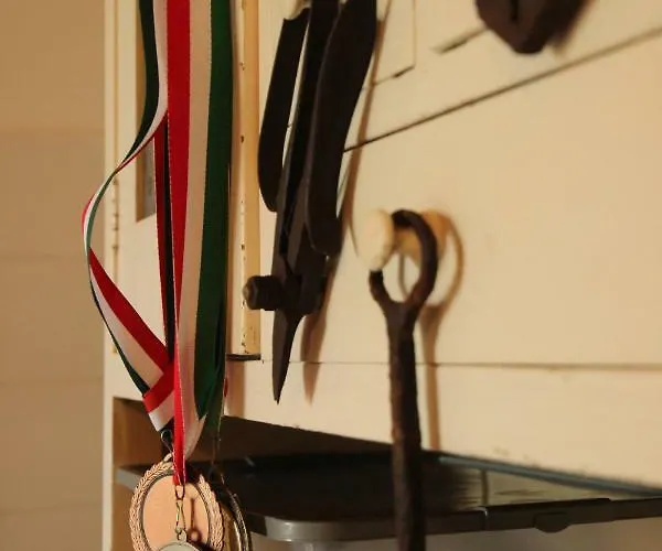 בית נופש Szolohegyi Haziko - In The Vineyard