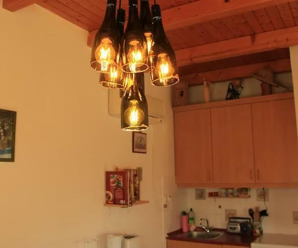 Szolohegyi Haziko - In The Vineyard