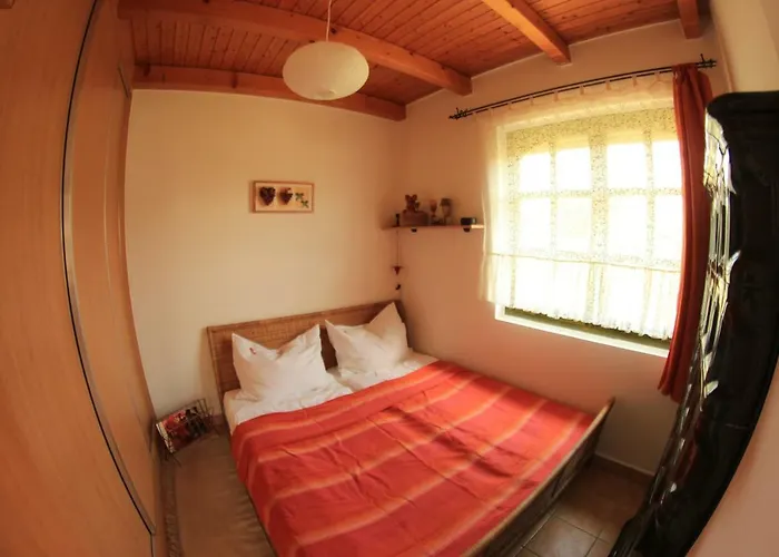 Szolohegyi Haziko - In The Vineyard *