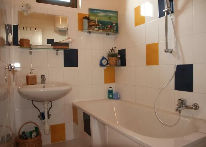 Szolohegyi Haziko - In The Vineyard Balatonszárszó