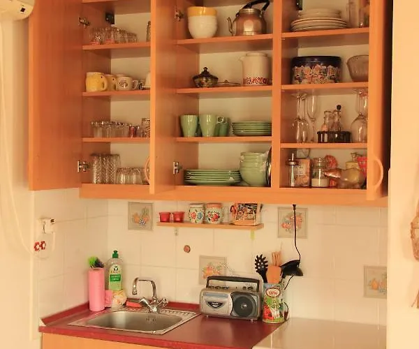 Szolohegyi Haziko - In The Vineyard *