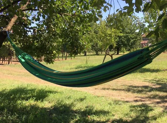 Szolohegyi Haziko - In The Vineyard
